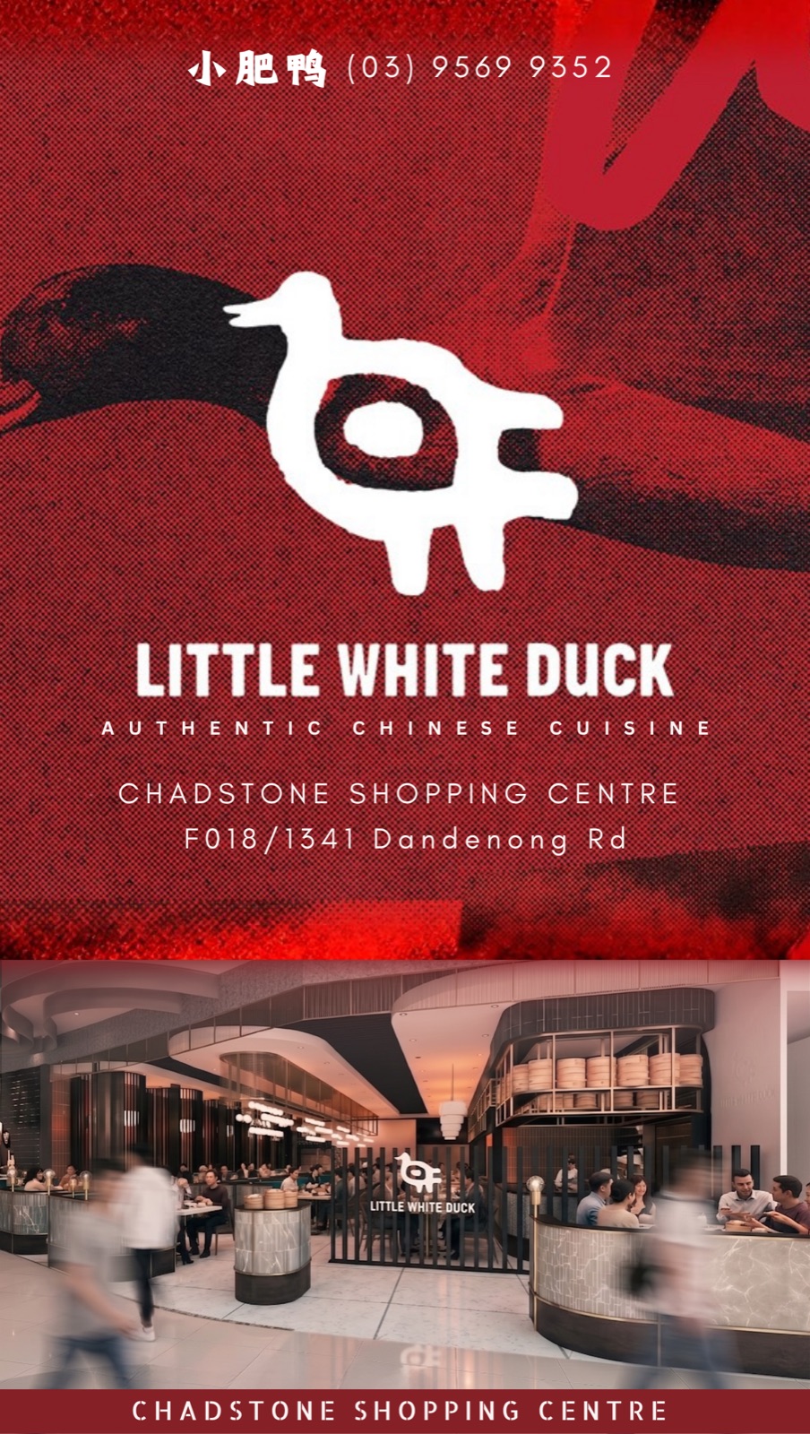 Little White Duck 小肥鸭 poster — Authentic Chinese Cuisine at Chadstone Shopping Centre, F018/1341 Dandenong Rd